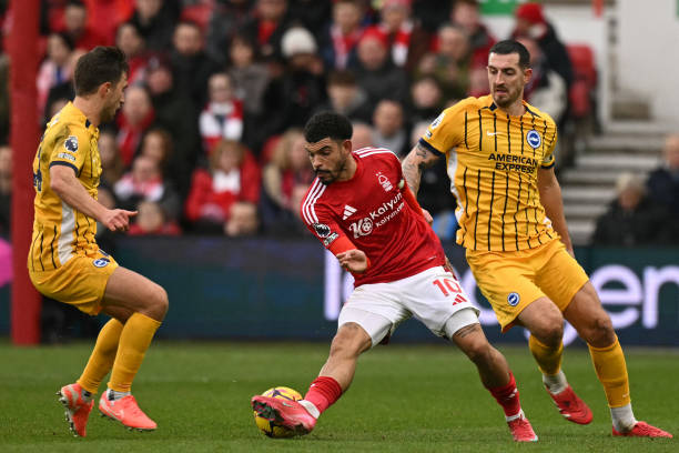 懂得如何应 懂得如何应